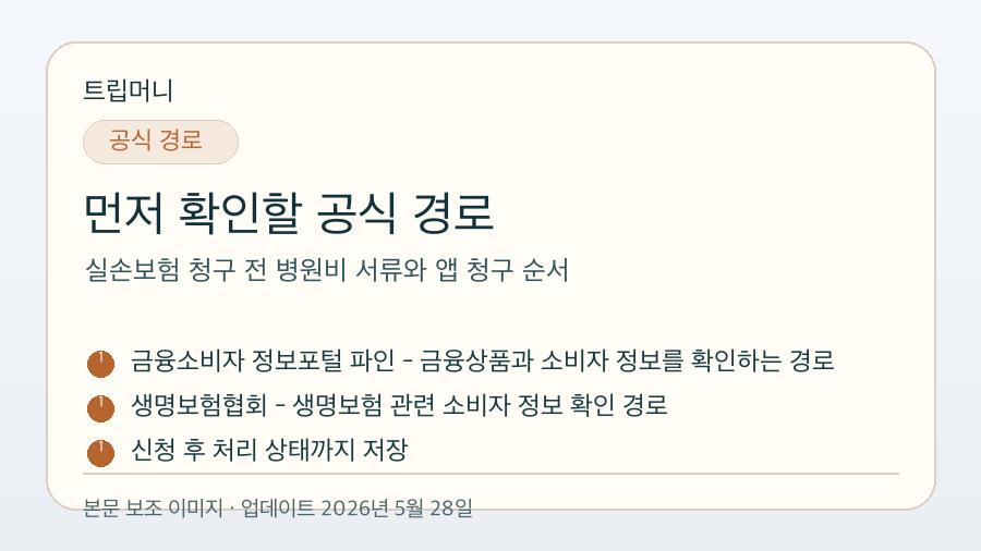 실손보험 청구 전 병원비 서류와 앱 청구 순서 - 먼저 확인할 공식 경로 핵심 요약 이미지