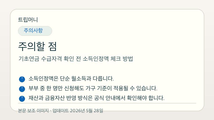 기초연금 수급자격 확인 전 소득인정액 체크 방법 - 주의할 점 핵심 요약 이미지