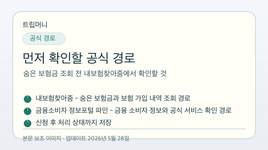 숨은 보험금 조회 전 내보험찾아줌에서 확인할 것 - 먼저 확인할 공식 경로 핵심 요약 이미지