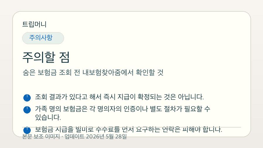 숨은 보험금 조회 전 내보험찾아줌에서 확인할 것 - 주의할 점 핵심 요약 이미지