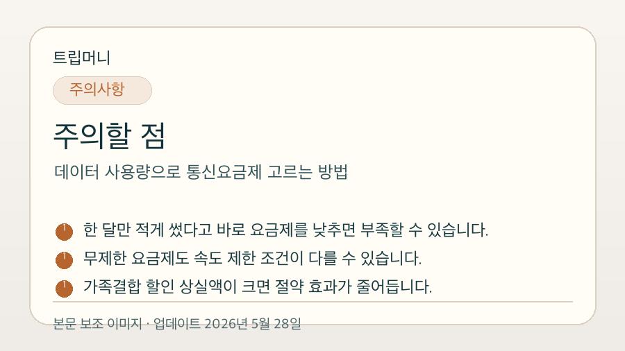 데이터 사용량으로 통신요금제 고르는 방법 - 주의할 점 핵심 요약 이미지