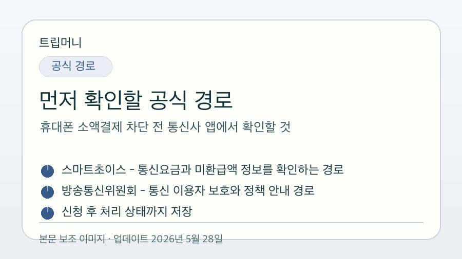 휴대폰 소액결제 차단 전 통신사 앱에서 확인할 것 - 먼저 확인할 공식 경로 핵심 요약 이미지