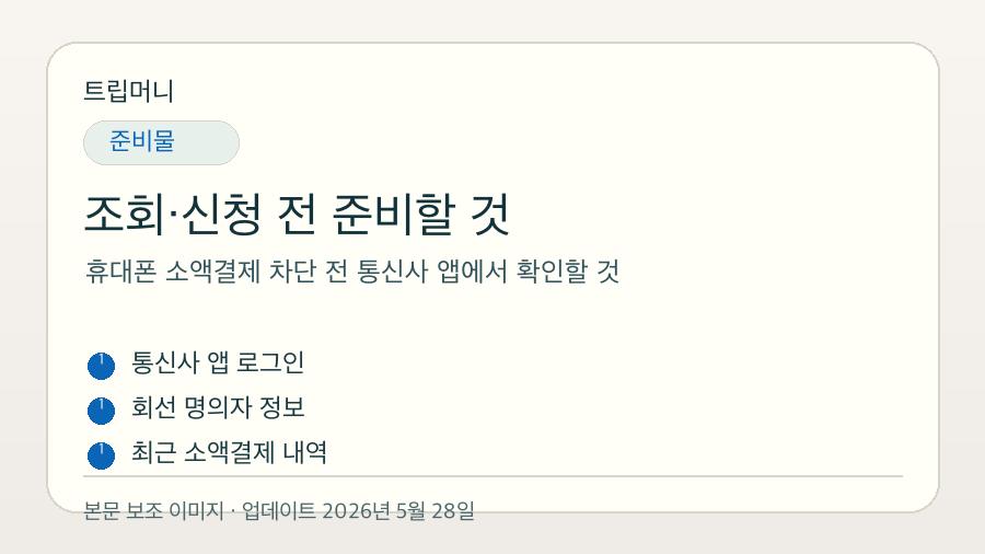 휴대폰 소액결제 차단 전 통신사 앱에서 확인할 것 - 조회·신청 전 준비할 것 핵심 요약 이미지