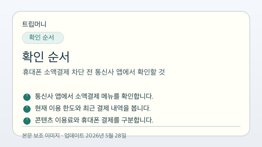 휴대폰 소액결제 차단 전 통신사 앱에서 확인할 것 - 확인 순서 핵심 요약 이미지