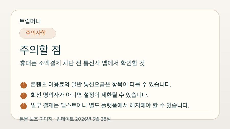 휴대폰 소액결제 차단 전 통신사 앱에서 확인할 것 - 주의할 점 핵심 요약 이미지
