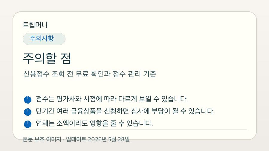 신용점수 조회 전 무료 확인과 점수 관리 기준 - 주의할 점 핵심 요약 이미지